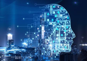 软件和信息技术